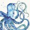 Deep Sea VIII Poster Print by Anne Tavoletti - Item # VARPDX46575